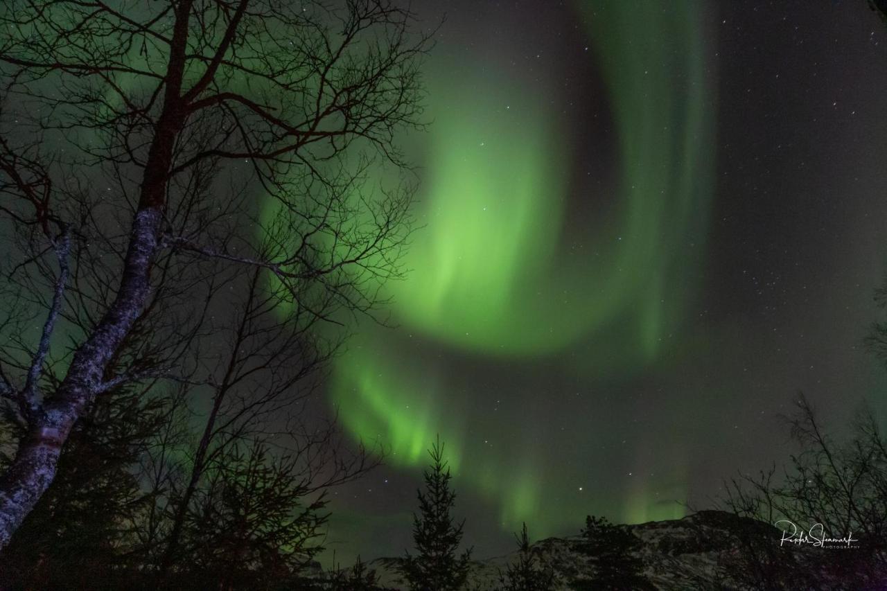 Cool Cabins Sandhornoy Lekanger ภายนอก รูปภาพ